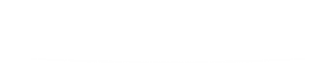 Burle Leilões